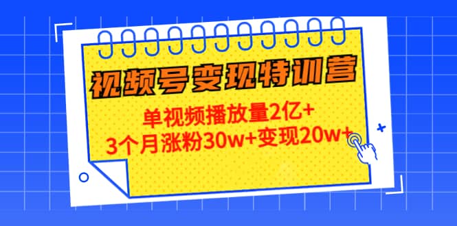 20天视频号变现特训营：单视频播放量2亿+创鑫阁-网创项目资源站-副业项目-创业项目-搞钱项目创鑫阁