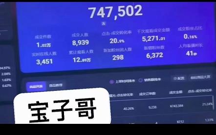 宝子哥无人直播，半无人直播，Obs+伴侣玩法，快速打标签+养鱼创鑫阁-网创项目资源站-副业项目-创业项目-搞钱项目创鑫阁