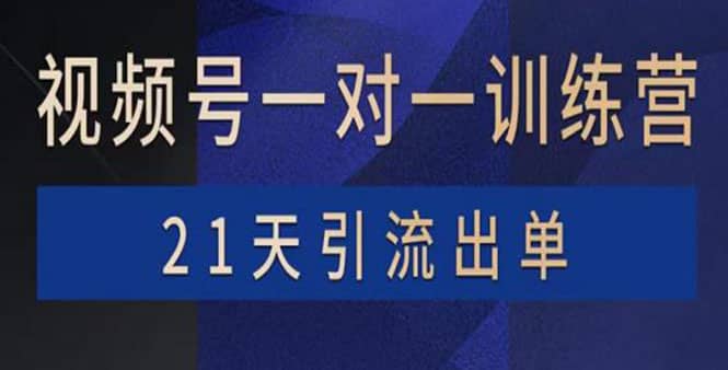 视频号训练营：带货，涨粉，直播，游戏，四大变现新方向，21天引流出单创鑫阁-网创项目资源站-副业项目-创业项目-搞钱项目创鑫阁