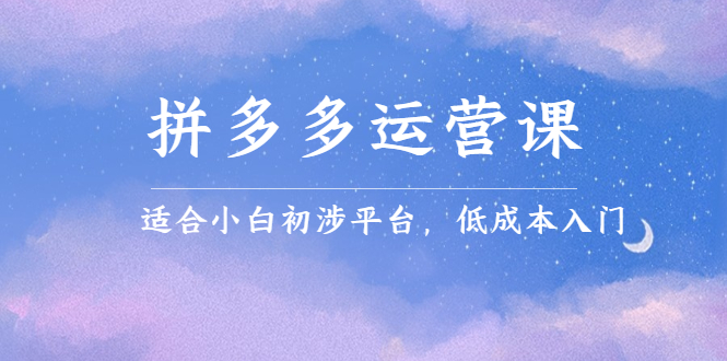 拼多多运营课，适合小白初涉平台，低成本入门创鑫阁-网创项目资源站-副业项目-创业项目-搞钱项目创鑫阁