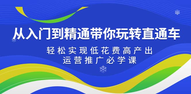 从入门到精通带你玩转直通车：轻松实现低花费高产出，35节运营推广必学课创鑫阁-网创项目资源站-副业项目-创业项目-搞钱项目创鑫阁