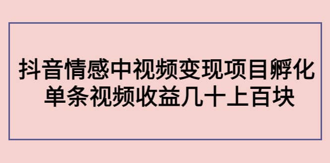 抖音情感中视频变现项目孵化创鑫阁-网创项目资源站-副业项目-创业项目-搞钱项目创鑫阁