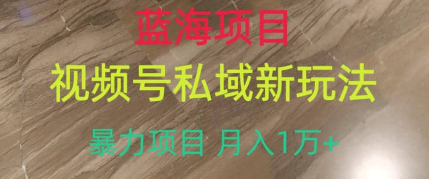 蓝海项目，视频号私域新玩法，暴力项目月入1万+【揭秘】创鑫阁-网创项目资源站-副业项目-创业项目-搞钱项目创鑫阁