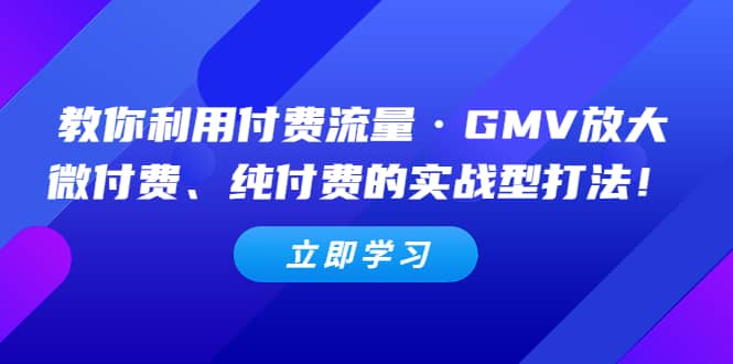 教你利用付费流量·GMV放大，微付费、纯付费的实战型打法创鑫阁-网创项目资源站-副业项目-创业项目-搞钱项目创鑫阁