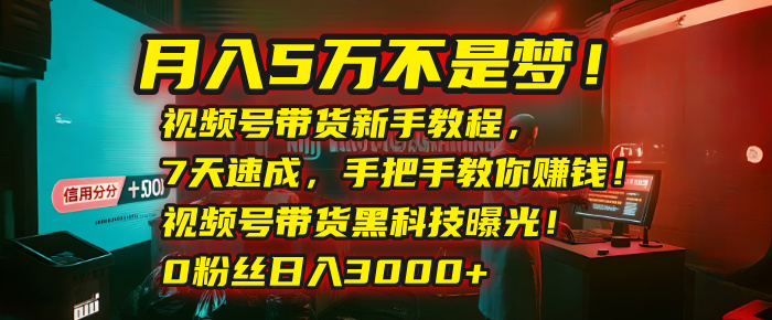 月入5万不是梦！视频号带货新手教程，7天速成，手把手教你赚钱！视频号带货黑科技曝光！0粉丝日入3000+创鑫阁-网创项目资源站-副业项目-创业项目-搞钱项目创鑫阁