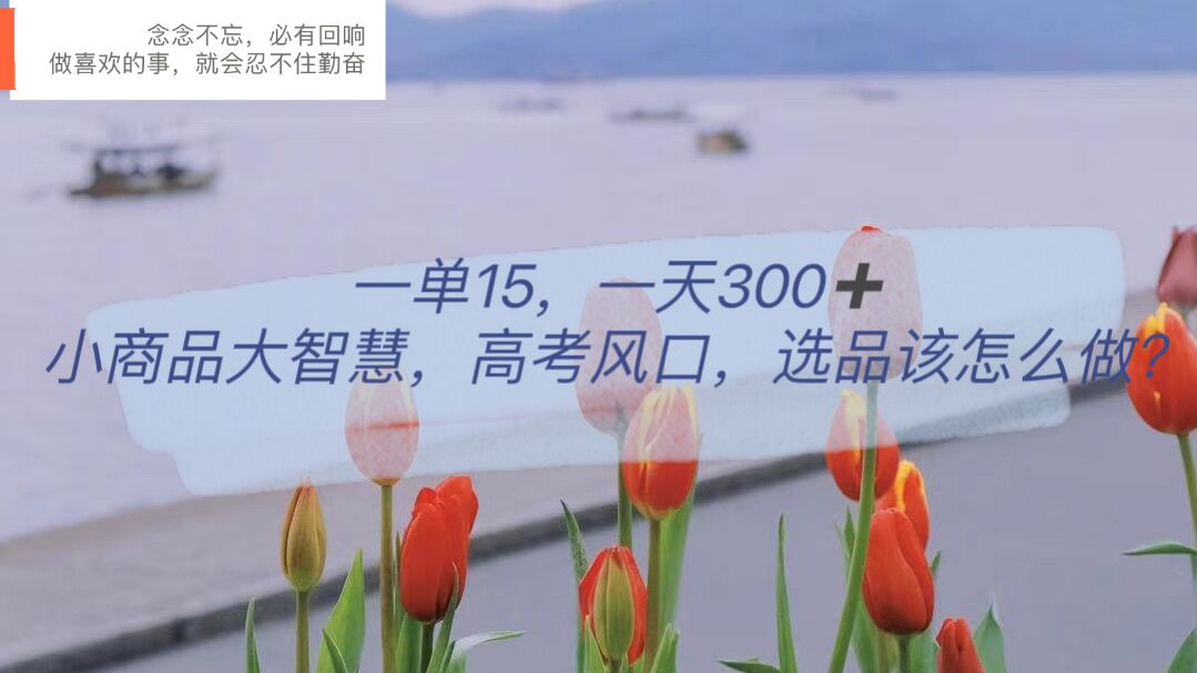 一单15，一天300+，小商品大智慧，高考风口，选品该怎么布局创鑫阁-网创项目资源站-副业项目-创业项目-搞钱项目创鑫阁