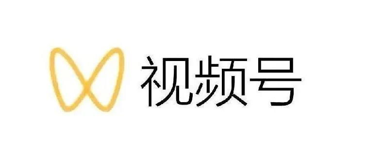 最新视频号解读，视频号真相+变现玩法【视频课程】创鑫阁-网创项目资源站-副业项目-创业项目-搞钱项目创鑫阁