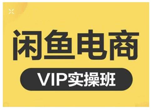 闲鱼电商零基础入门到进阶VIP实战课程，帮助你掌握闲鱼电商所需的各项技能创鑫阁-网创项目资源站-副业项目-创业项目-搞钱项目创鑫阁