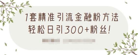 1套精准引流金融粉方法，轻松日引300+粉丝【视频课程】创鑫阁-网创项目资源站-副业项目-创业项目-搞钱项目创鑫阁