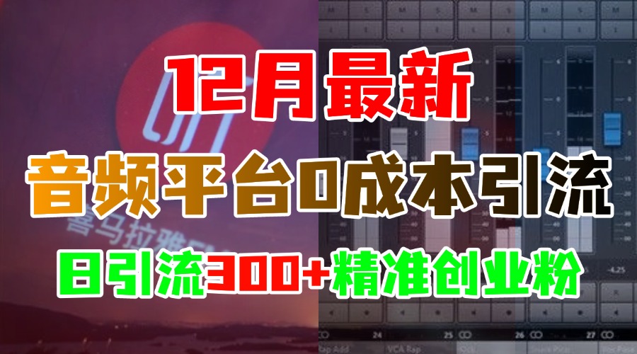 12月最新：音频平台0成本引流，日引300+精准创业粉创鑫阁-网创项目资源站-副业项目-创业项目-搞钱项目创鑫阁
