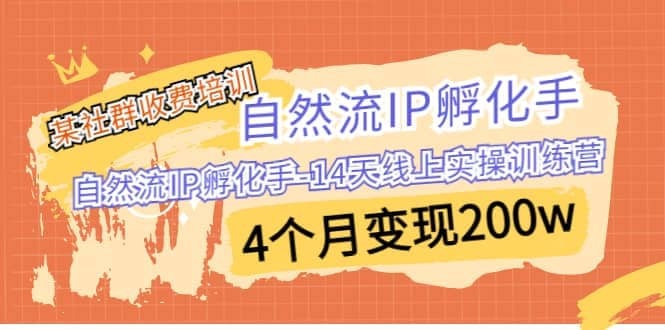 某社群收费培训：自然流IP 孵化手-14天线上实操训练营 4个月变现200w创鑫阁-网创项目资源站-副业项目-创业项目-搞钱项目创鑫阁