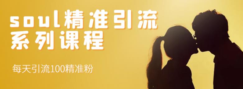 soul精准引流系列课程，每天引流100精准粉创鑫阁-网创项目资源站-副业项目-创业项目-搞钱项目创鑫阁