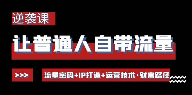 让普通人自带流量的逆袭课：流量密码+IP打造+运营技术·财富路径创鑫阁-网创项目资源站-副业项目-创业项目-搞钱项目创鑫阁