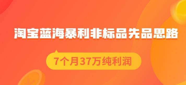 盗坤淘宝蓝海暴利非标品先品思路，7个月37万纯利润，压箱干货分享！【付费文章】创鑫阁-网创项目资源站-副业项目-创业项目-搞钱项目创鑫阁