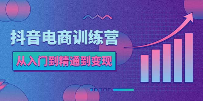 抖音电商训练营：从入门到精通，从账号定位到流量变现，抖店运营实操创鑫阁-网创项目资源站-副业项目-创业项目-搞钱项目创鑫阁