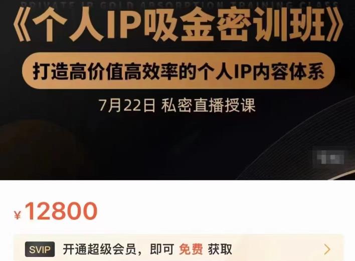 个人IP吸金密训班，打造高价值高效率的个人IP内容体系（价值12800元）创鑫阁-网创项目资源站-副业项目-创业项目-搞钱项目创鑫阁