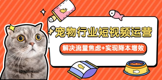 宠物/行业短视频运营 流量增长的一层窗户纸 解决流量焦虑+实现降本增效创鑫阁-网创项目资源站-副业项目-创业项目-搞钱项目创鑫阁