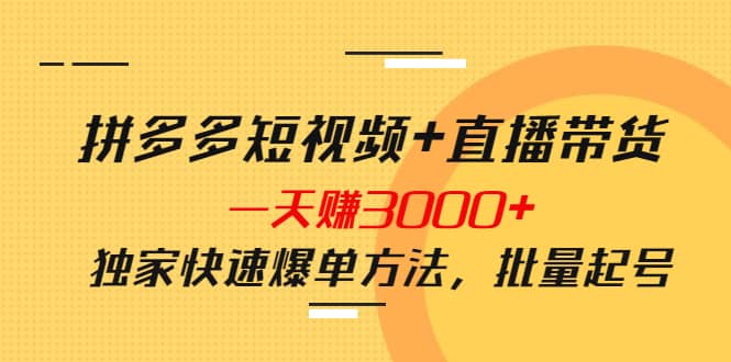 拼多多短视频+直播带货，一天赚3000+独家快速爆单方法，批量起号创鑫阁-网创项目资源站-副业项目-创业项目-搞钱项目创鑫阁