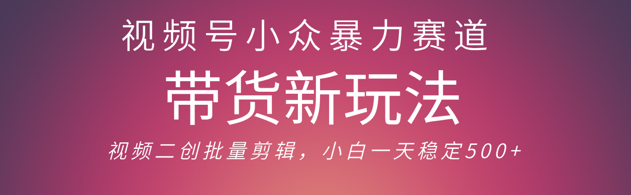视频号小众暴力赛道，最新带货玩法 小白也能轻松日入500+ 保姆及教程创鑫阁-网创项目资源站-副业项目-创业项目-搞钱项目创鑫阁