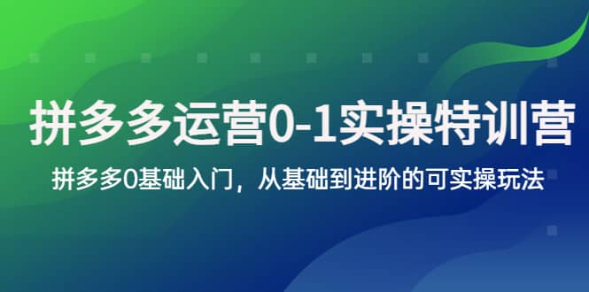 拼多多-运营0-1实操训练营，拼多多0基础入门，从基础到进阶的可实操玩法创鑫阁-网创项目资源站-副业项目-创业项目-搞钱项目创鑫阁