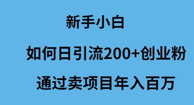 新手小白如何日引流200+创业粉通过卖项目年入百万创鑫阁-网创项目资源站-副业项目-创业项目-搞钱项目创鑫阁