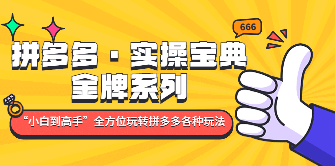 拼多多·实操宝典：金牌系列“小白到高手”带你全方位玩转拼多多各种玩法创鑫阁-网创项目资源站-副业项目-创业项目-搞钱项目创鑫阁