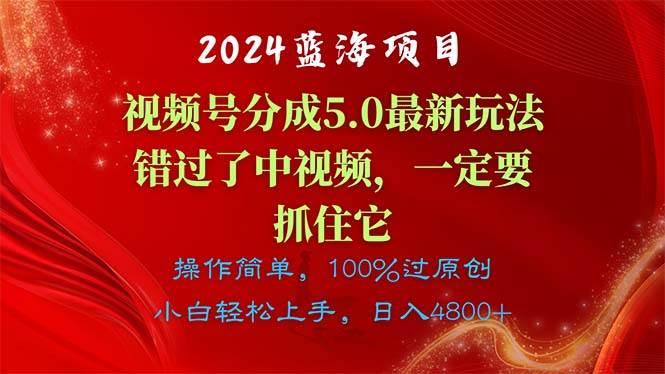 2024蓝海项目，视频号分成计划5.0最新玩法，错过了中视频，一定要抓住…创鑫阁-网创项目资源站-副业项目-创业项目-搞钱项目创鑫阁