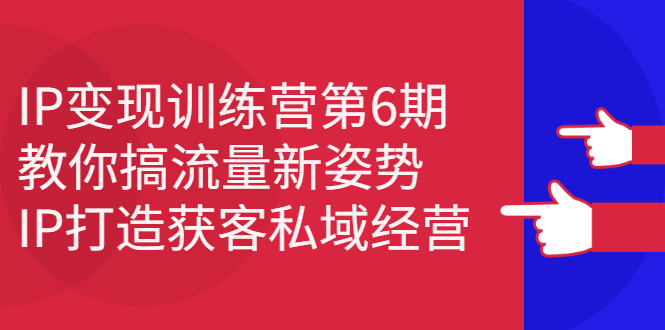 IP变现训练营第6期：教你搞流量新姿势，IP打造获客私域经营创鑫阁-网创项目资源站-副业项目-创业项目-搞钱项目创鑫阁