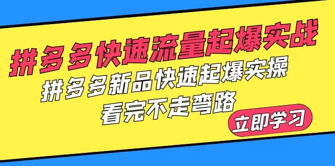 拼多多-快速流量起爆实战，拼多多新品快速起爆实操，看完不走弯路创鑫阁-网创项目资源站-副业项目-创业项目-搞钱项目创鑫阁