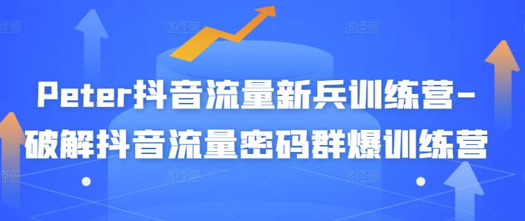 Peter抖音流量新兵训练营-破解抖音流量密码群爆训练营（新兵）创鑫阁-网创项目资源站-副业项目-创业项目-搞钱项目创鑫阁