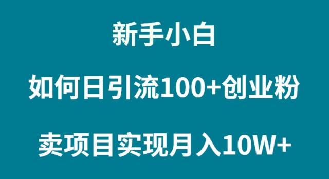 新手小白如何通过卖项目实现月入10W+创鑫阁-网创项目资源站-副业项目-创业项目-搞钱项目创鑫阁
