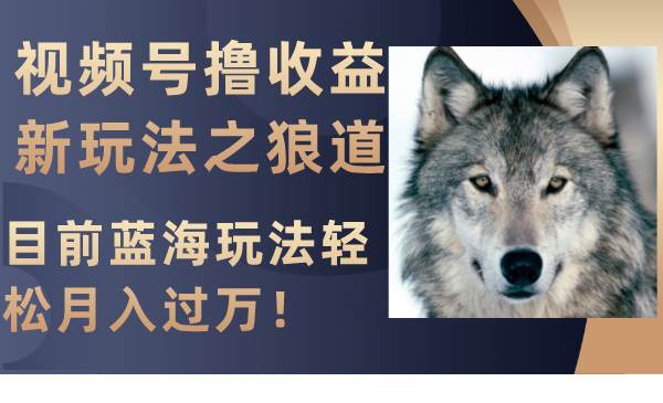 视频号撸收益新玩法之狼道，目前蓝海玩法轻松月入过万！创鑫阁-网创项目资源站-副业项目-创业项目-搞钱项目创鑫阁