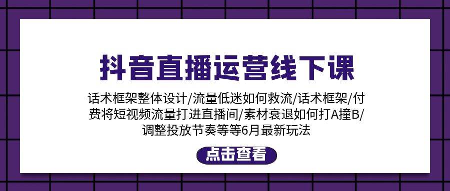 抖音直播运营线下课：话术框架/付费流量直播间/素材A撞B/等6月新玩法创鑫阁-网创项目资源站-副业项目-创业项目-搞钱项目创鑫阁