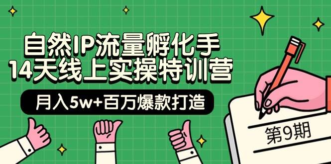自然IP流量孵化手 14天线上实操特训营【第9期】月入5w+百万爆款打造 (74节)创鑫阁-网创项目资源站-副业项目-创业项目-搞钱项目创鑫阁
