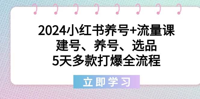2024小红书养号+流量课：建号、养号、选品，5天多款打爆全流程创鑫阁-网创项目资源站-副业项目-创业项目-搞钱项目创鑫阁
