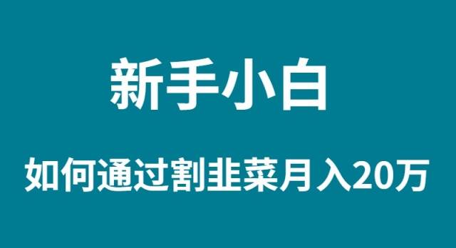 新手小白如何通过割韭菜月入 20W创鑫阁-网创项目资源站-副业项目-创业项目-搞钱项目创鑫阁