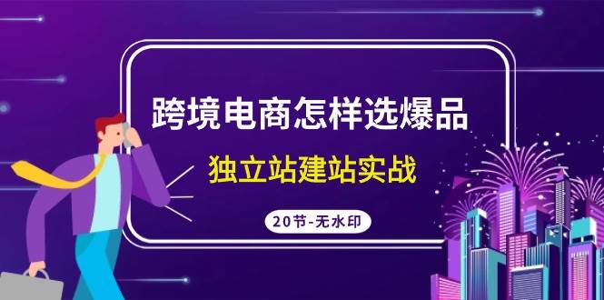 跨境电商怎样选爆品，独立站建站实战（20节高清无水印课）创鑫阁-网创项目资源站-副业项目-创业项目-搞钱项目创鑫阁