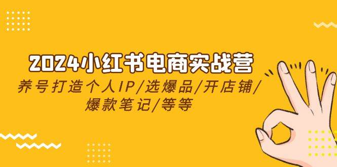 2024小红书电商实战营，养号打造IP/选爆品/开店铺/爆款笔记/等等（24节）创鑫阁-网创项目资源站-副业项目-创业项目-搞钱项目创鑫阁