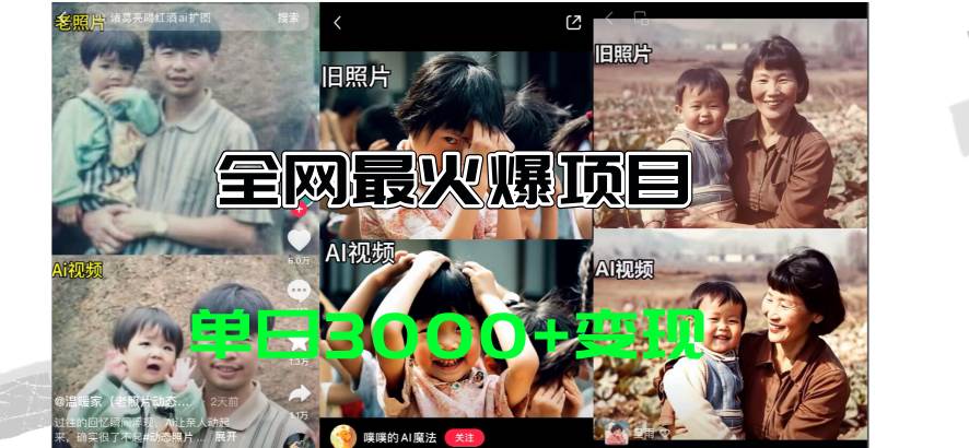 全网爆火的AI让老照片动起来教程，蹭热点日赚3000+，内含免费工具一键…创鑫阁-网创项目资源站-副业项目-创业项目-搞钱项目创鑫阁
