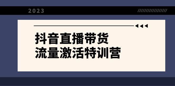 抖音直播带货-流量激活特训营，入行新手小白主播必学（21节课+资料）创鑫阁-网创项目资源站-副业项目-创业项目-搞钱项目创鑫阁